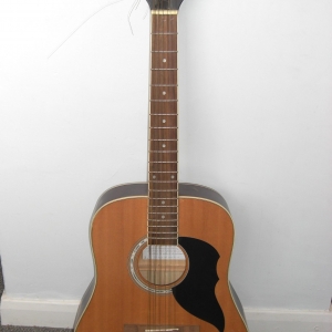 EKO 12 string guitar